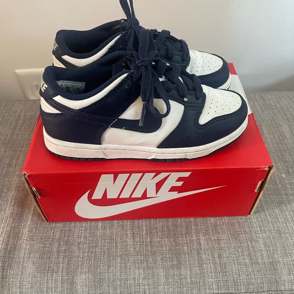 Nike Dunks Dark Blue and White Sneakers